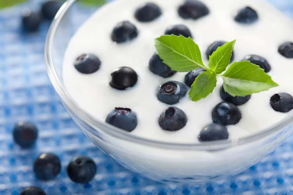 DIY Yogurt