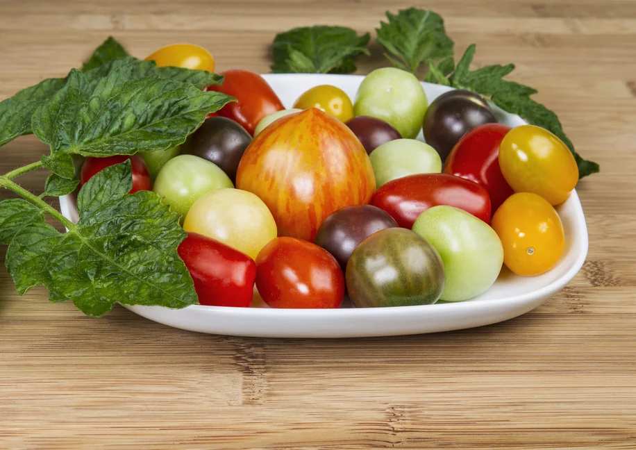 Heirloom Tomato and Farro Salad